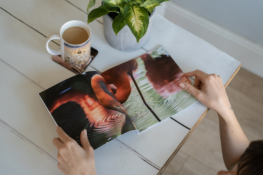 Photo Book Perfection: Your Ultimate Checklist